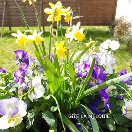 Nyaraló La Melodie Longueville (Seine-et-Marne)